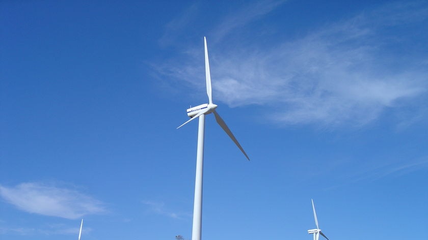 Hydro Tasmania says proceeds from the Woolnorth wind farm sale will be funnelled into Musselroe.