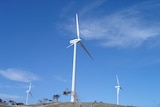 Australian research casts doubt on wind farm link to illness.