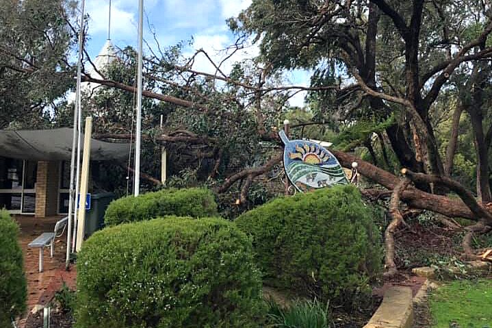 A tree lies on the roof of the Harvey Visitor Centre.