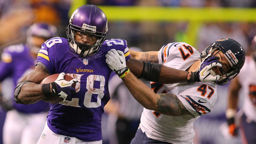 Adrian Peterson in action for the Minnesota Vikings