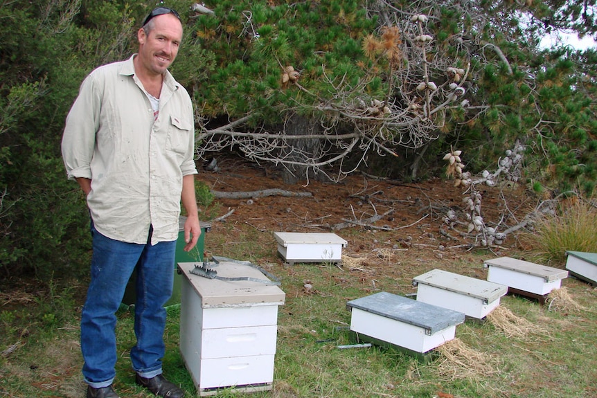 Beekeeper Andrew Matthewson stands beside a series of small hives on Flinders Island