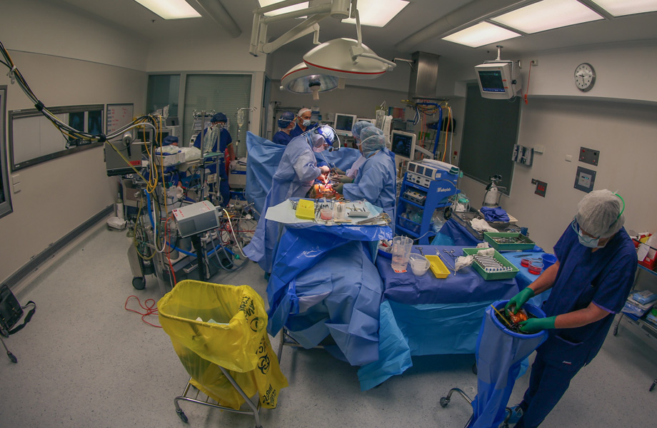 Doctors and nurses work on Hamish in operating theatre. Photo by Margaret Burin.