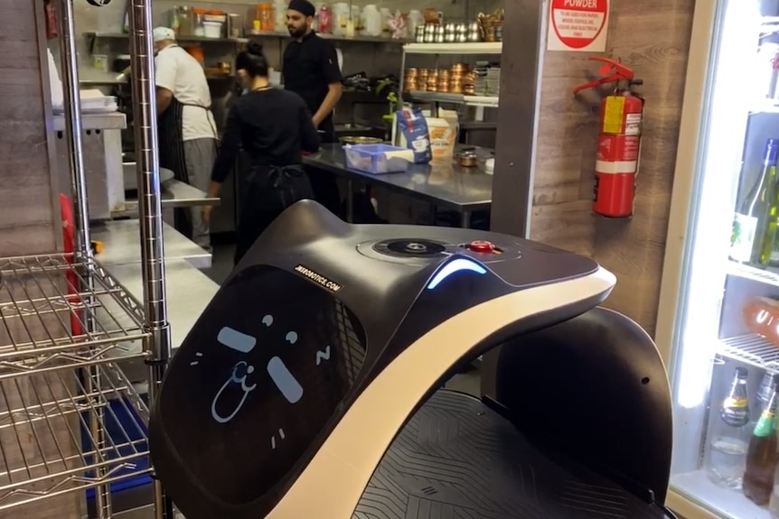 A robot waitress with a digital sleeping cat face is in the foreground, indian food is being prepared in a kitchen behind.