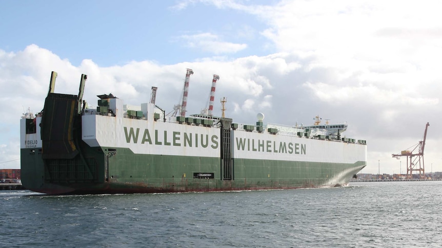 A large green and white cargo ship called Fidelio sails into Fremantle Port.