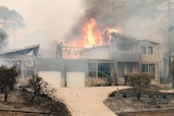 Man in surf lifesaver shirt standing outside a burning house.