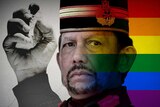 The Sultan of Brunei has led the introduction of harsh anti-LGBT laws in his country.