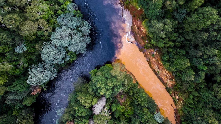 An aerial photograph of the confluence of two rivers - one clear and the other orange.