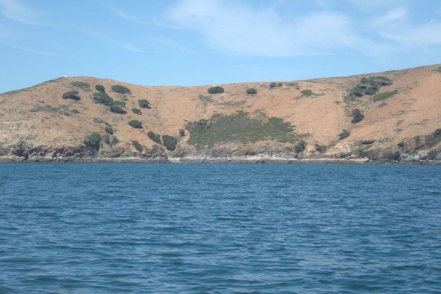 An island with sparse vegetation