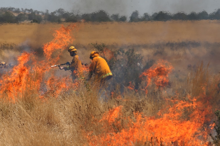 The CFA fights a fast moving grass fire which is closing in on homes in Craigieburn on February 9, 2014