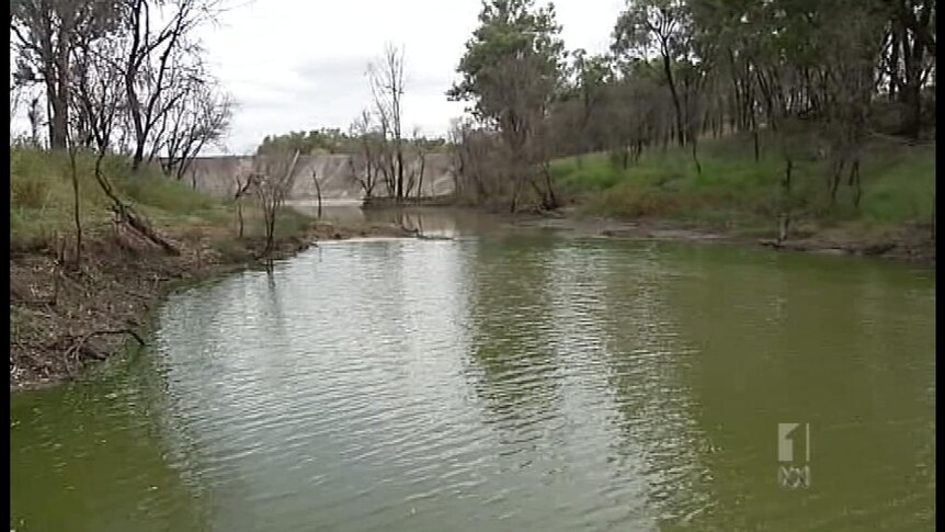 The ABC has gained access to a Condamine River water quality report.