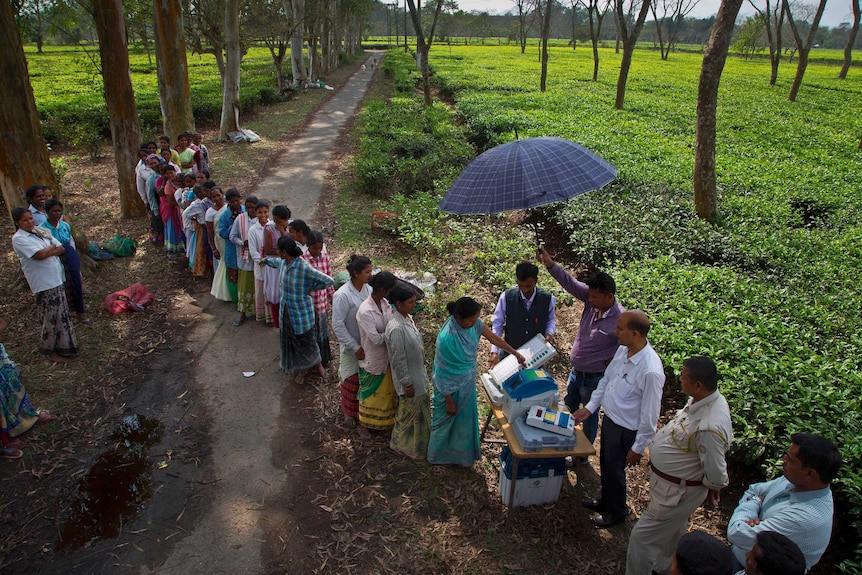 A line of woman queuing to vote electronically in a field, with a man holding an umbrella above voters heads for shade.