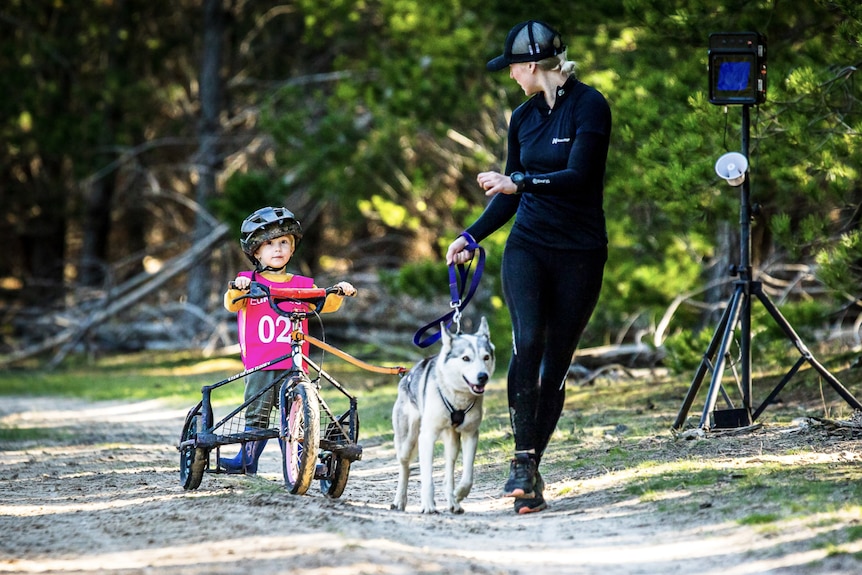 A woman with a husky on a lead, which is pulling a along a small boy on a trike.