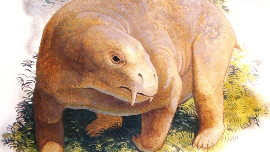 Artist's impression of a Dicynodont