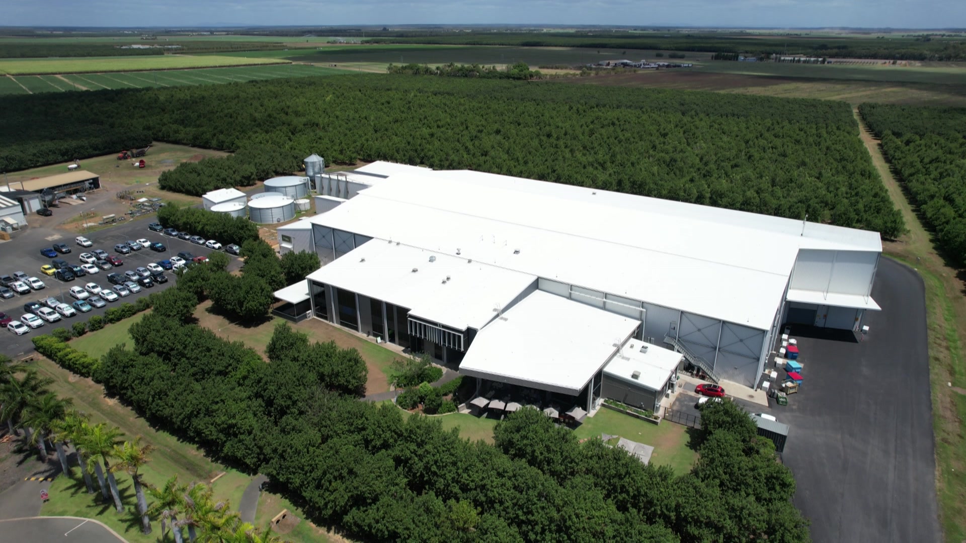 Toma de un dron de una gran fábrica rodeada de huertos de macadamia.