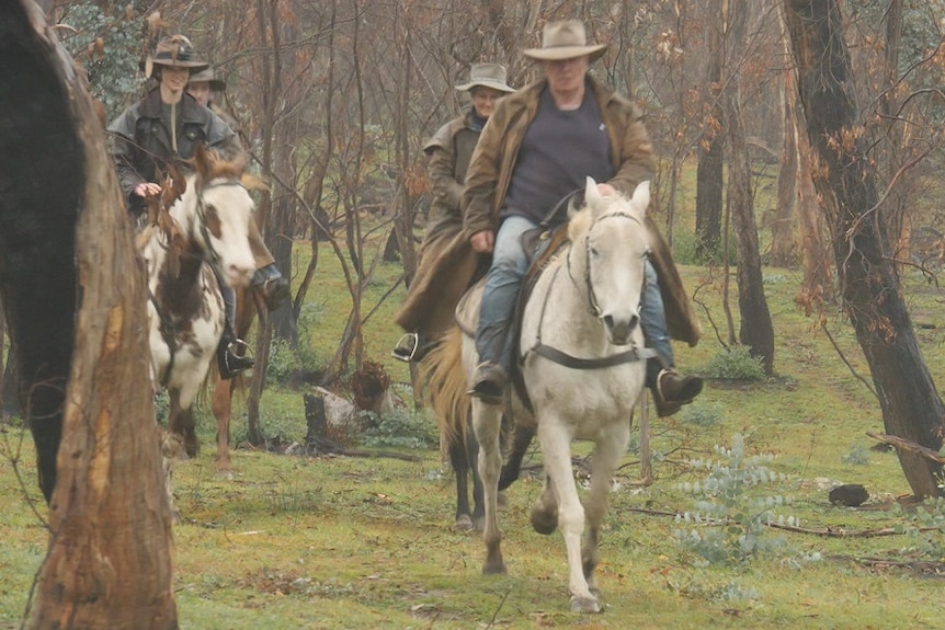 Phil Maguire leads other horse riders through Victoria's High Country.