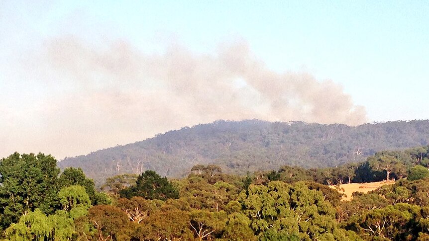 Smoke rises from a bushfire at Kyeema.