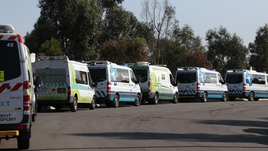 A row of patient transport ambulances are parked outside the Epping Gardens aged care home.