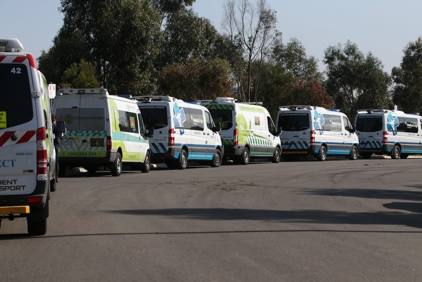 A row of patient transport ambulances are parked outside the Epping Gardens aged care home.