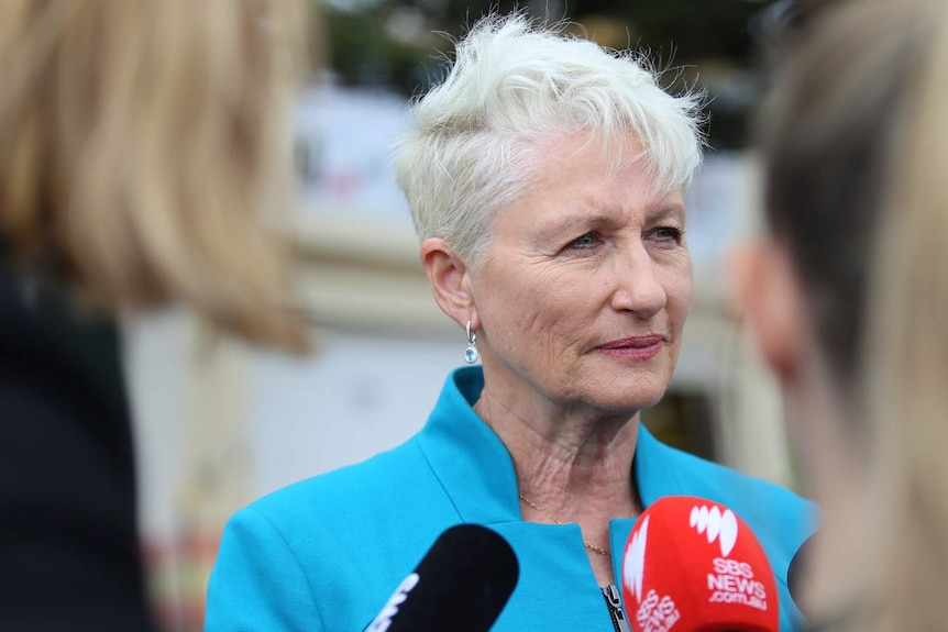 Kerryn Phelps stands in front of the media.