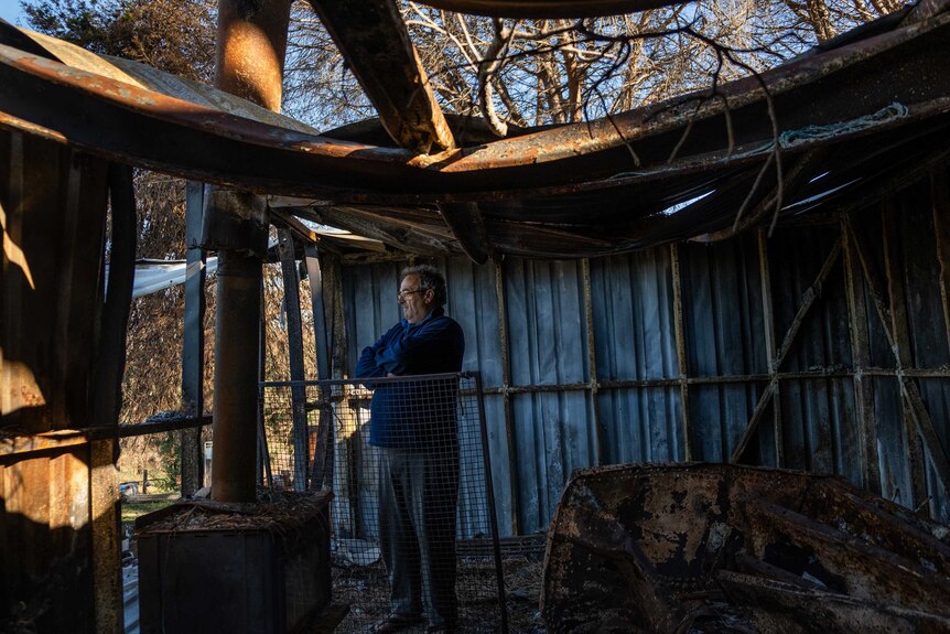 Trevor Eagles looks out at his bushfire ravaged property.