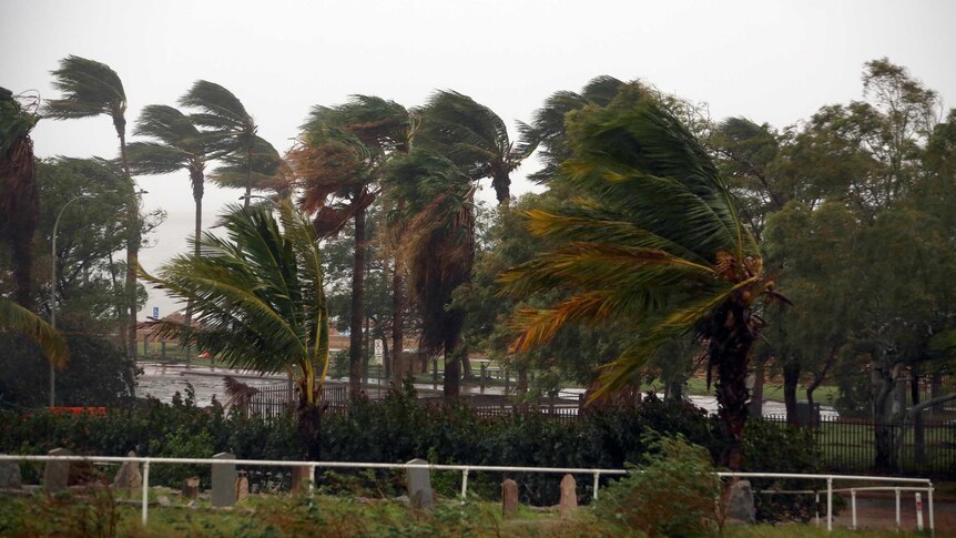 Trees being blown precariously by winds generated from Cyclone Veronica.