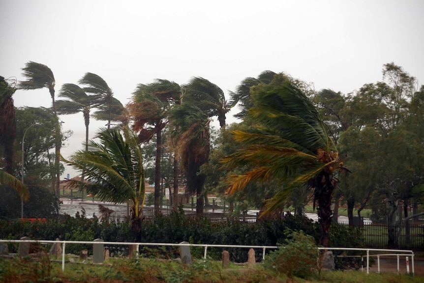 Trees being blown precariously by winds generated from Cyclone Veronica.