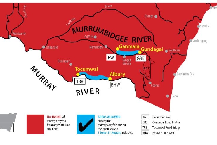Red map of NSW showing areas where fishing is allowed for Murray crayfish.
