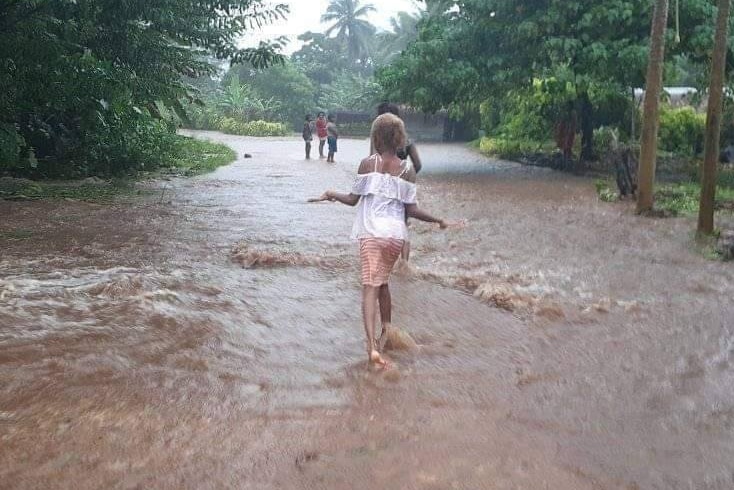 People walk in ankle-deep water down a tree-lined road.