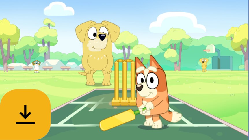 Bingo holding a cricket bat in front of the wickets and Lucky's Dad behind the stumps. 