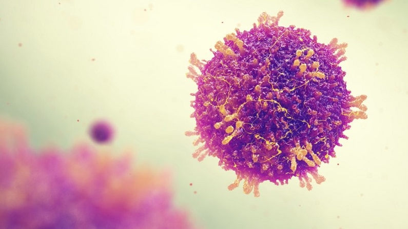 measles virus particle