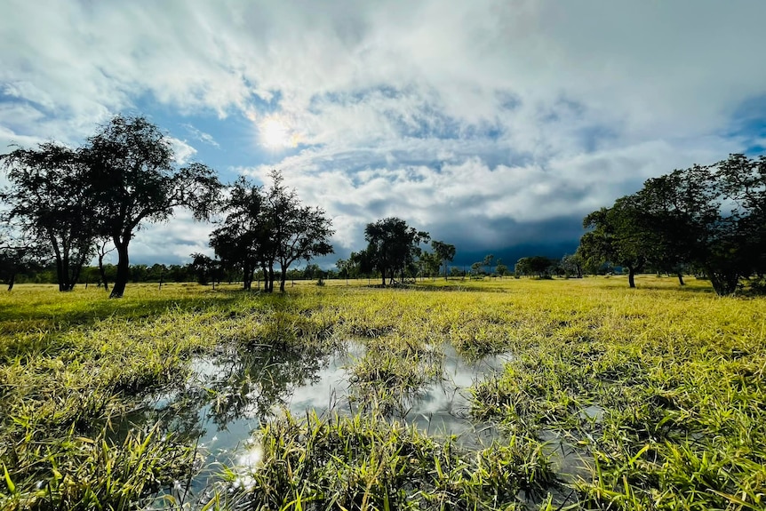 landscape grassy puddle in foreground with dark clouds in background