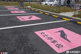 A row of female-only car parks marked with an icon of a stiletto on a pink background.