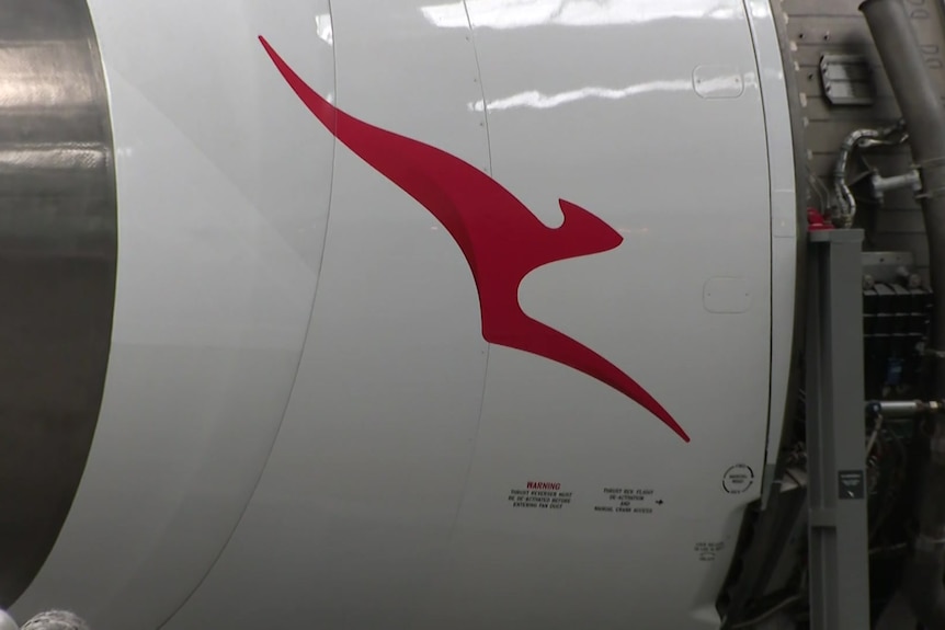 Closeup of a plane with a red kangaroo symbol, the Qantas logo