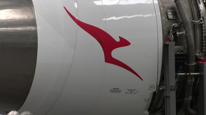 Closeup of a plane with a red kangaroo symbol, the Qantas logo