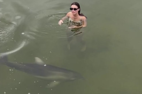 A dolphin swims past the feet of a young woman