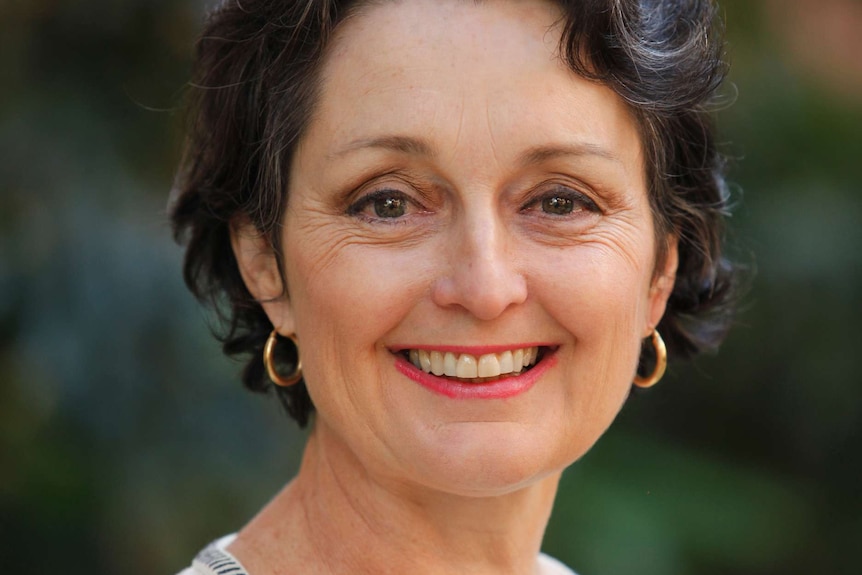 Pru Goward's appointment has been welcomed by anti-domestic violence groups.