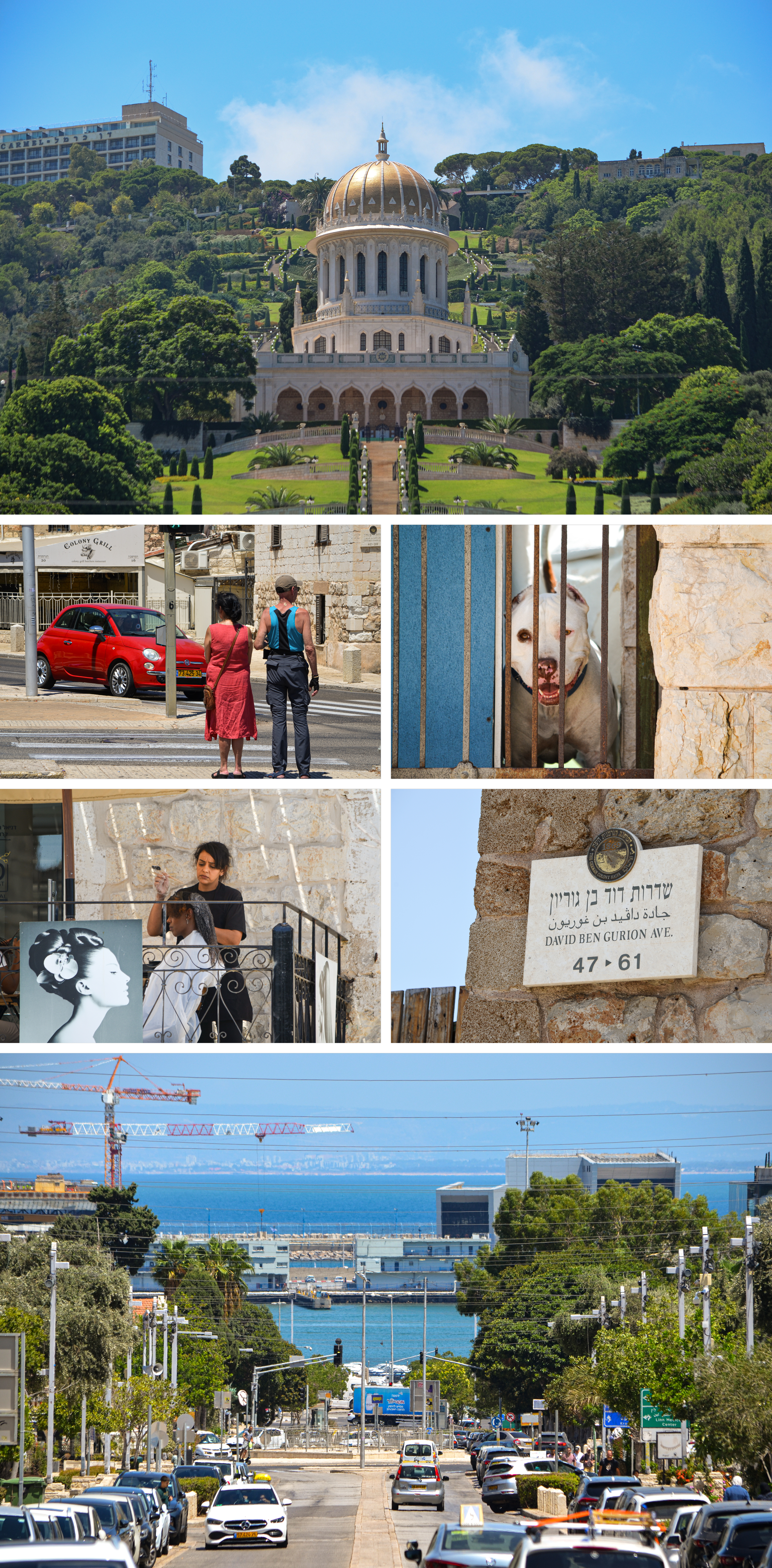 A grid of six photos, showing a temple on a grassy hill, a hairdresser, people, a dog, a street sign and a street leading to sea