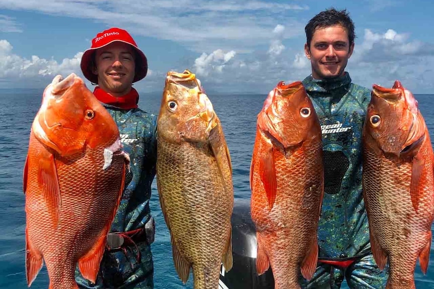 Two men wearing wet suits holding up a catch of three large fish.