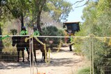 Machinery and police officers on horseback in bushland behind a fence.