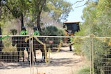 Machinery and police officers on horseback in bushland behind a fence.