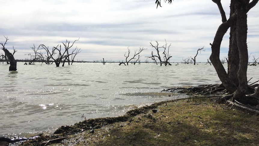 Lake Tandure at Menindee.