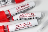 Test sample tubes labeled 'COVID-19 Omicron variant' are pictured in this illustration photo.