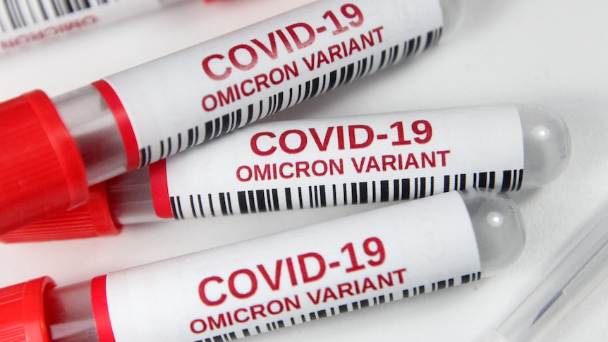 Test sample tubes labeled 'COVID-19 Omicron variant' are pictured in this illustration photo.