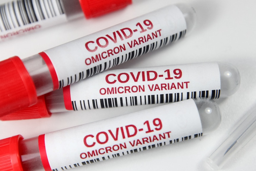 Test sample tubes labeled 'COVID-19 Omicron variant' are pictured in this illustration photo.