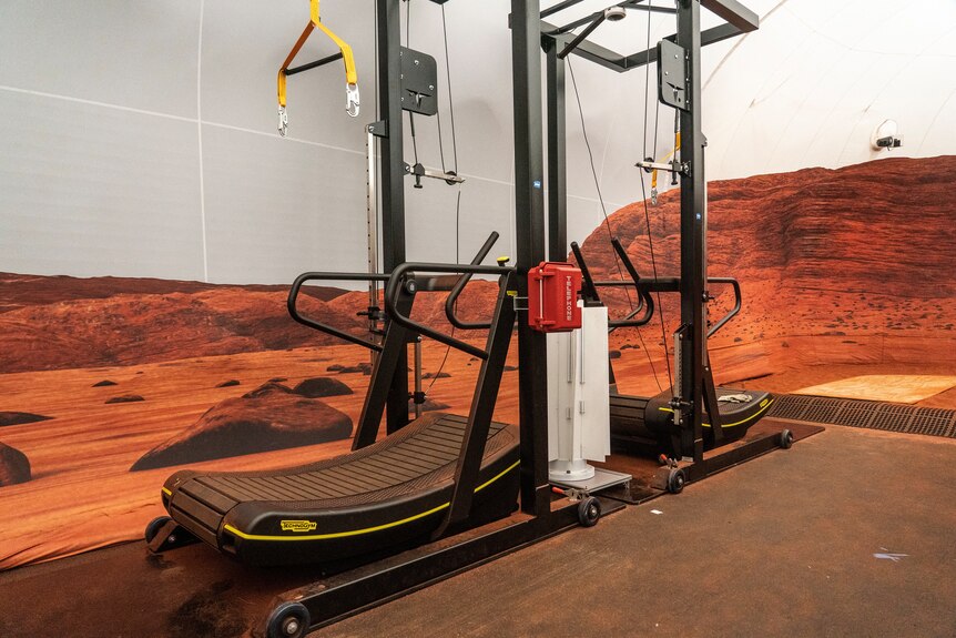 Two curved treadmills across from each other. Around it a printed image of Mars on the wall with red rocks and sand.