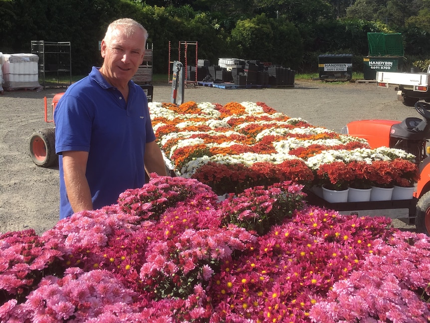 Man in blue shirt stands behind large table filled with pink flowers. Orange and white flowers fill the background.
