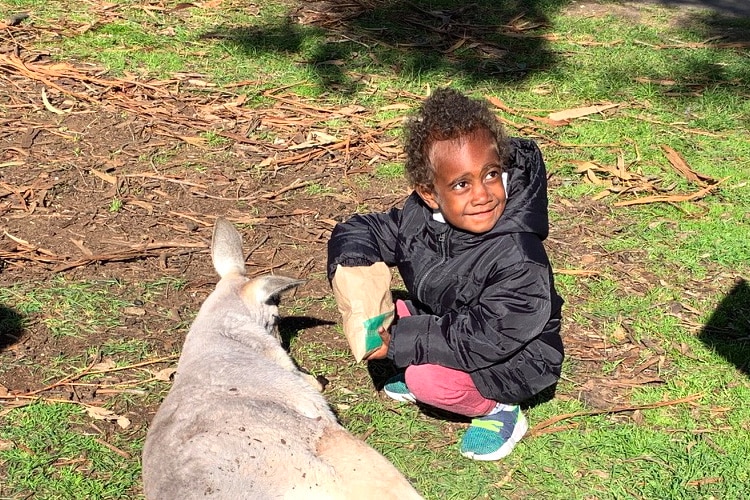 Four-year-old Aseri Tada with a kangaroo.