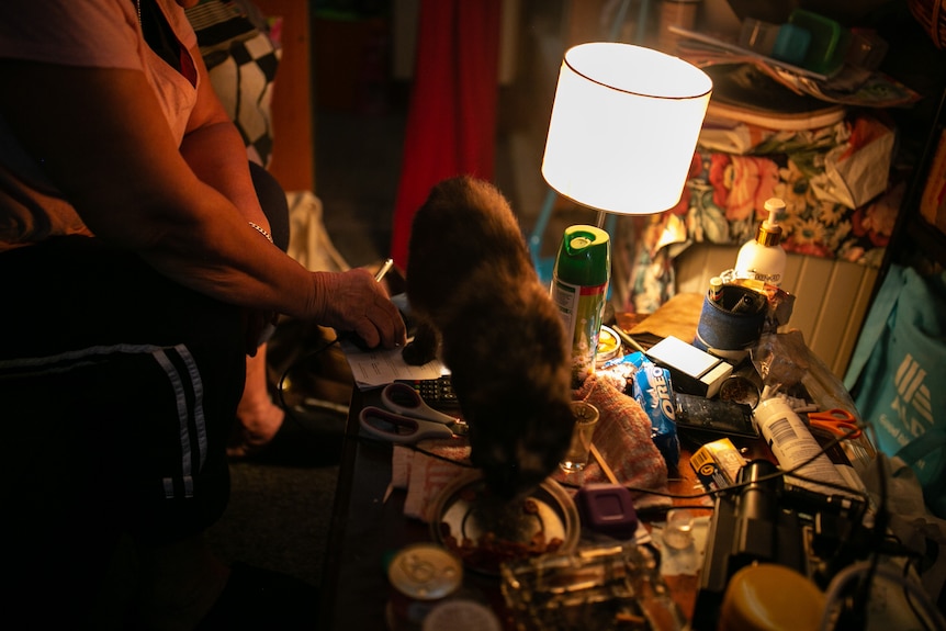 A cat walks on Cheryl's coffee table.