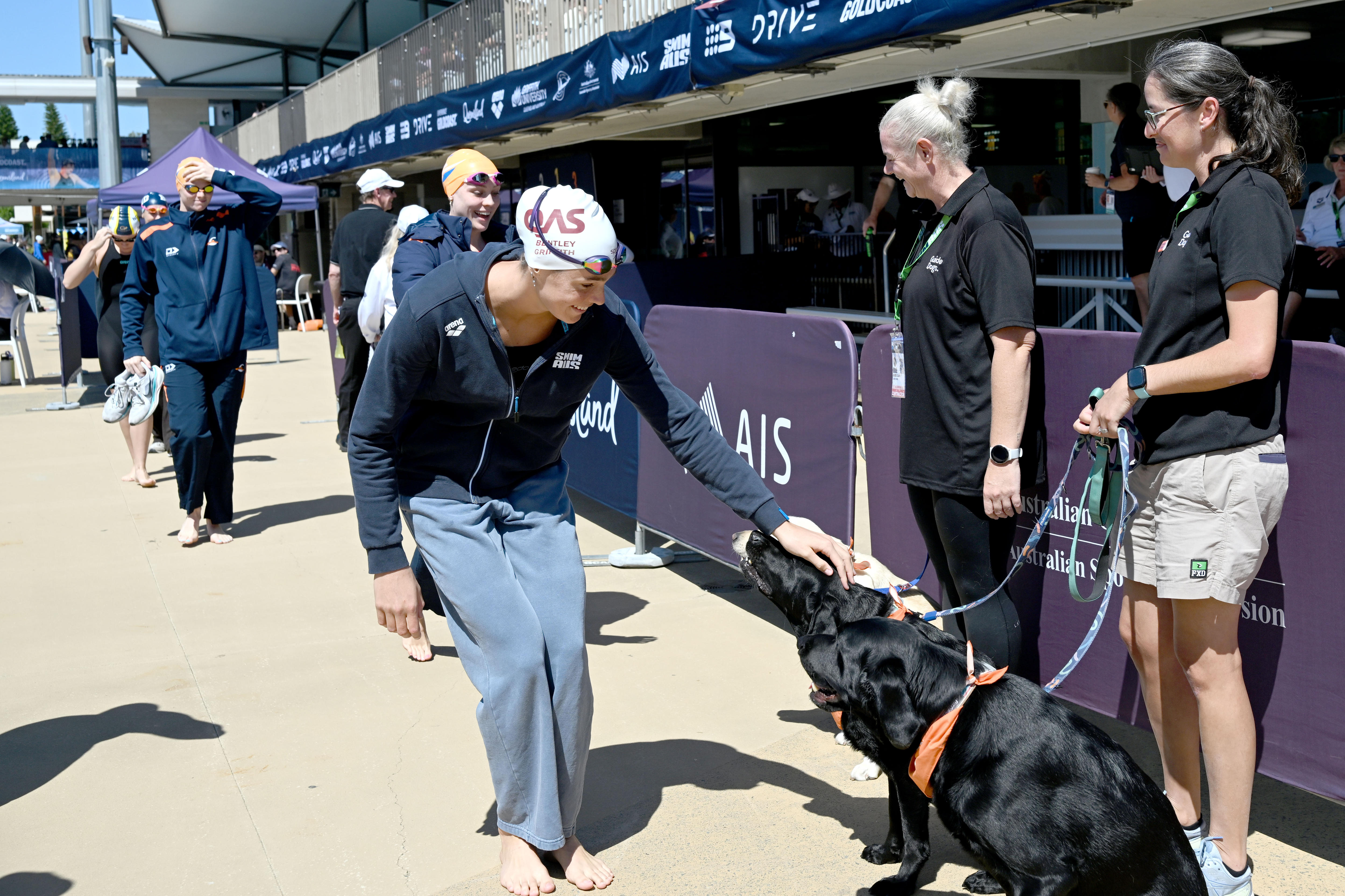 Swimmers pat a dog