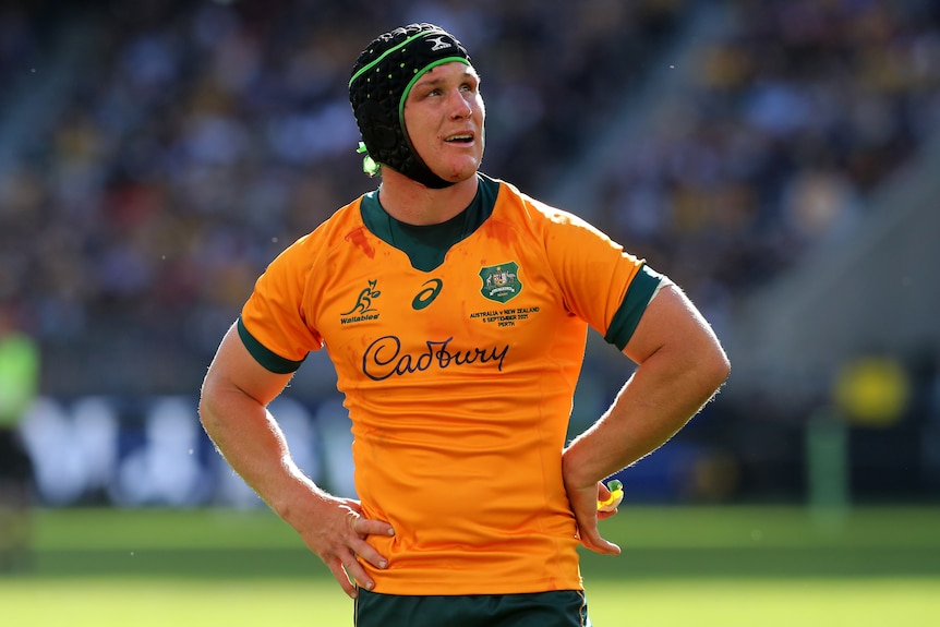 Michael Hooper of the Wallabies looks on during the Bledisloe Cup match between Australia and New Zealand